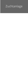 Zuchtanlage